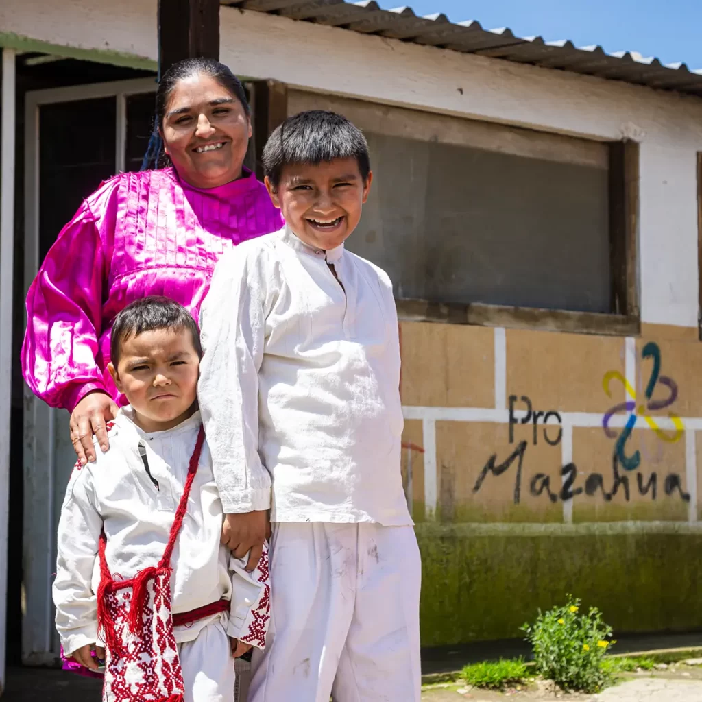 Generación de Ingresos - Borregos copia