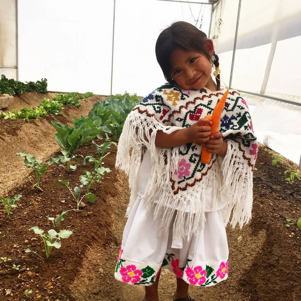 Seguridad Alimentaria - Niña alimento copia